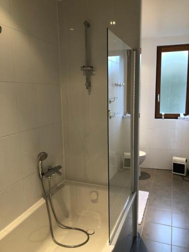 ein Bad mit einer Dusche und einer Glastür in der Unterkunft Chambre d'hotes Romance in Saint-Jean-les-Deux-Jumeaux