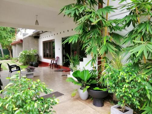 a courtyard with trees and plants in front of a building at Kutumbaya in Anuradhapura