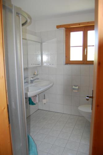 La salle de bains est pourvue d'un lavabo et de toilettes. dans l'établissement Londadusa Parterre, à Rueras