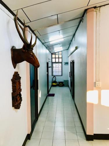 a hallway with a deer head on the wall at Winter House Chiang Rai in Chiang Rai