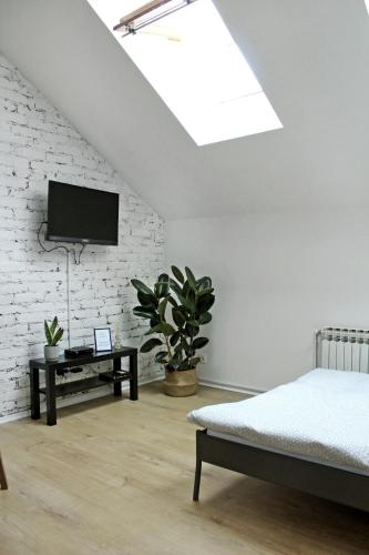 Studio apartman Trešnjevka