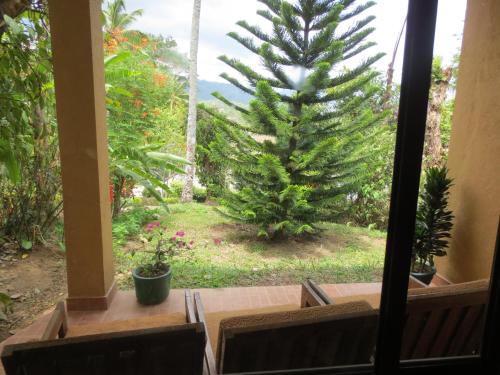 a view from the porch of a house with a pine tree at Oruthota Chalets in Kandy