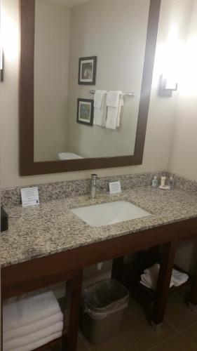 a bathroom with a sink and a large mirror at Comfort Inn White House in White House