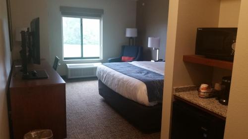 a hotel room with a bed and a window at Comfort Inn White House in White House