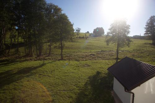 a view of a field with trees and a house at Apartmány Ve Mlejně in Čachrov
