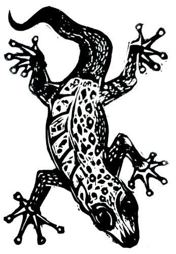 クックタウンにあるGecko Guest Houseのギャラリーの写真