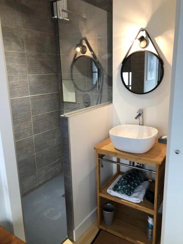 a bathroom with a sink and a shower at appartement place stanislas in Nancy