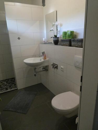a bathroom with a toilet and a sink at Gräftenblick in Münster