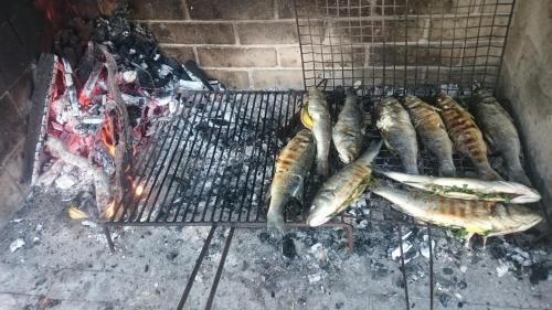 Εγκαταστάσεις μπάρμπεκιου για όλους τους επισκέπτες του bed and breakfast