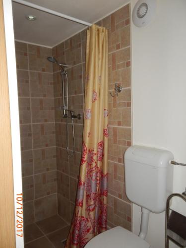 uma cortina de chuveiro na casa de banho com WC em Apartament la casa (2 camere) em Timisoara