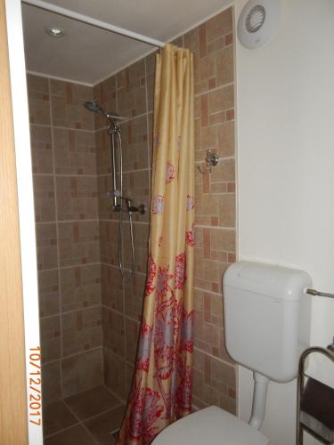 a shower curtain in a bathroom with a toilet at Apartament la casa (2 camere) in Timişoara