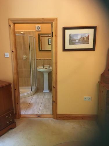a bathroom with a shower and a sink at ocean view in Wexford