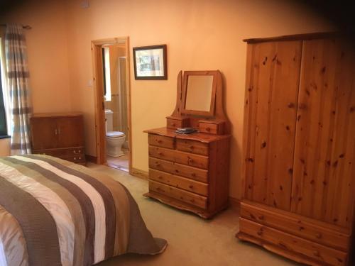 1 dormitorio con cama, tocador y espejo en ocean view en Wexford