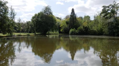 a large lake with trees and clouds in the water at Le Moulin de l'Ortille & SPA in Compiègne