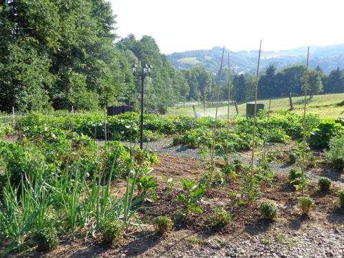 a garden with flowers and plants in a field at Waldhotel Felschbachhof in Ulmet