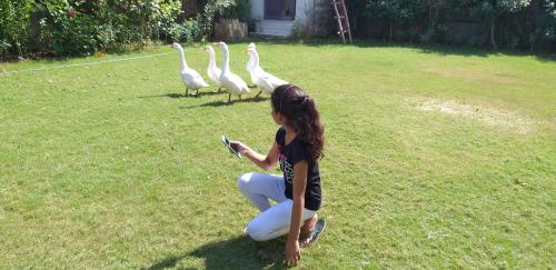 Taman di luar IbisHouse Farm Stay