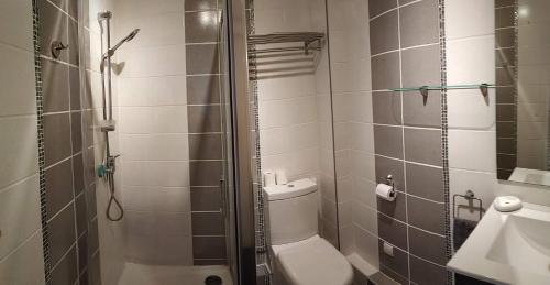 une salle de bain avec une douche, des toilettes et un lavabo dans l'établissement L'appart' de Jules, à Nantes