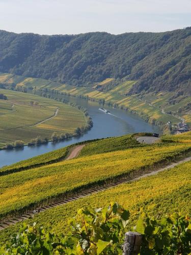 a river in the middle of a valley with a boat in it at Ferienhaus Nicole in Piesport