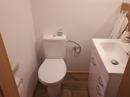 a small bathroom with a toilet and a sink at Apartament TA3 in Veľký Slavkov
