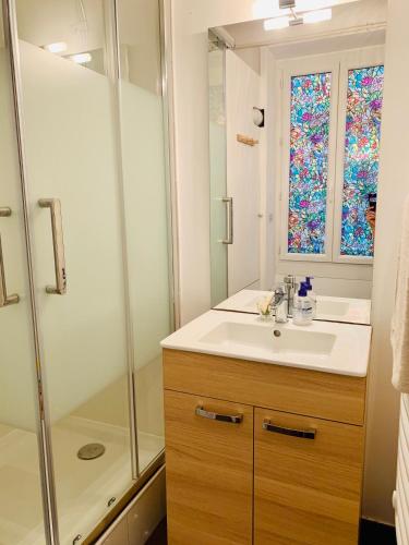 a bathroom with a sink and a shower at Appartment Le Charme du Bourgeois in Nice