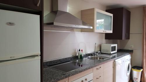 una cucina con lavello e microonde di El Patio De La Aljama a Cordoba