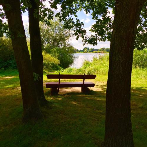 a park bench sitting between two trees near a lake at Landhaus Tesperhude in Geesthacht