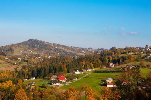 a small town on a hill with trees and houses at Domki na Beskidzie 1861 in Istebna