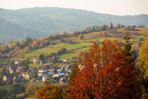 a small town on a hill with trees and a church at Domki na Beskidzie 1861 in Istebna