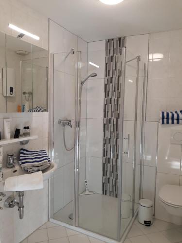 a bathroom with a glass shower and a toilet at Sommerwind am Kurgarten in Willingen