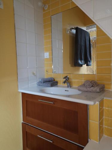 a bathroom with a sink and a mirror at La Hautée des Francs in Veigné