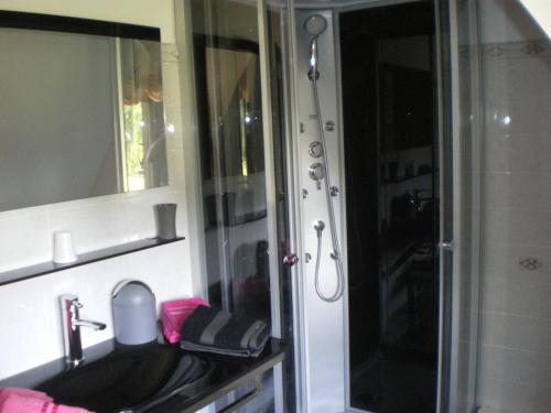 een badkamer met wastafel en douche met spiegel bij Hibiscus 1er étage in Honfleur