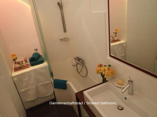 a bathroom with a shower and a sink and a mirror at Hamburg Center Island in Hamburg