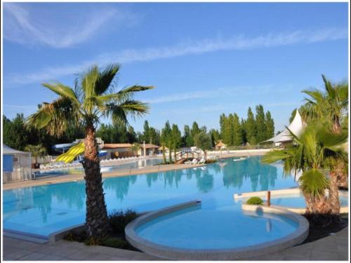 Πισίνα στο ή κοντά στο Mobilhome Vias plage dans Camping