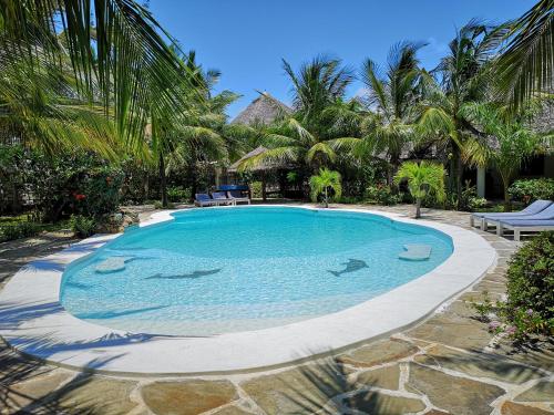 a swimming pool with two dolphins in the water at Baobab Village in Watamu