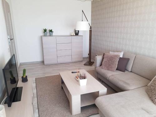 TV a/nebo společenská místnost v ubytování Apartamentai Centras
