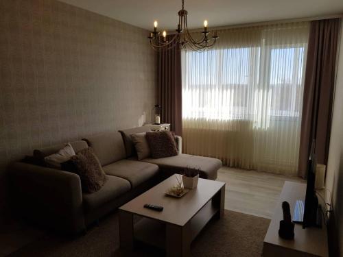 シャウレイにあるApartamentai Centrasのソファとコーヒーテーブルのあるリビングルーム
