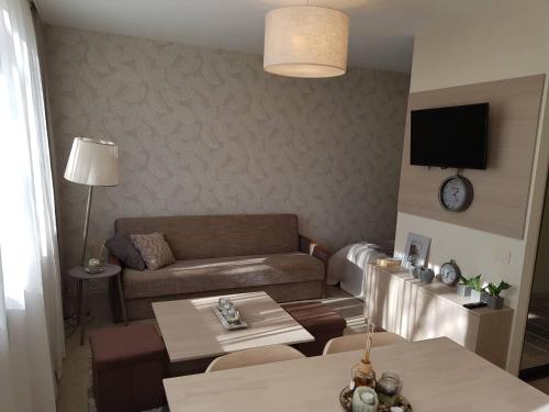 Χώρος καθιστικού στο Apartamentai Vilniaus Street