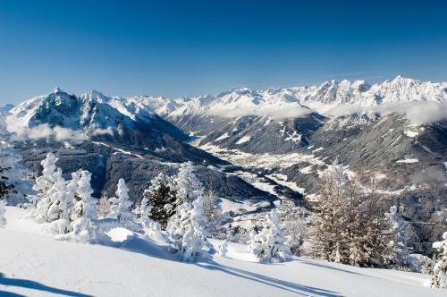 a snowy mountain with trees and snow covered mountains at Apartment Edith in Telfes im Stubai
