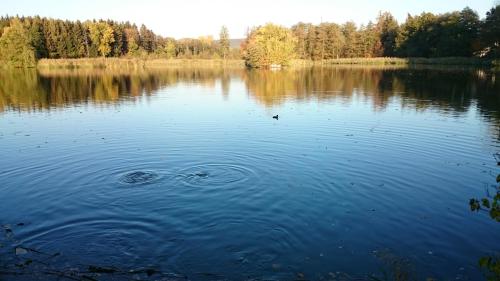 a lake with a ripples in the water at Ferienwohnung Mitwitz Kronach Neustadt Coburg - Erholung, Wandern uvm. sehr ruhig gelegen in Mitwitz