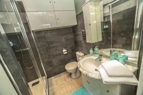 La salle de bains est pourvue d'une douche, d'un lavabo et de toilettes. dans l'établissement Le BLUMARINE, à Cannes