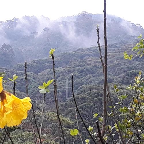 Landskap semula jadi dekat dengan inn ini