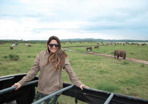 a woman standing next to a fence in a field with elephants at Back of Beyond - Pidurangala in Sigiriya