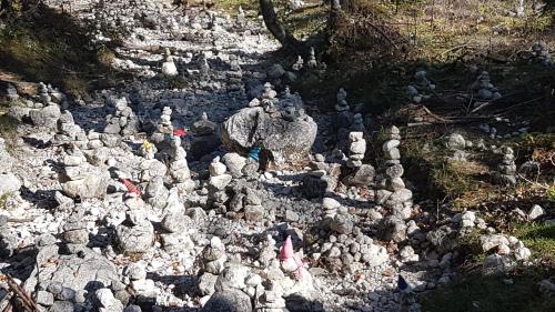 a bunch of stuffed animals on a rocky ground at Ferienwohnung Kirchschlager in Bad Aussee