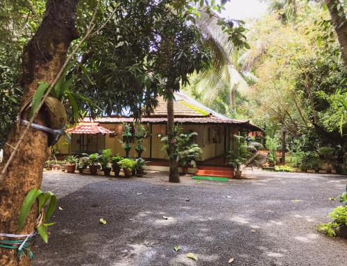 a house in the middle of a forest at Palm Grove Service Villa in Cochin