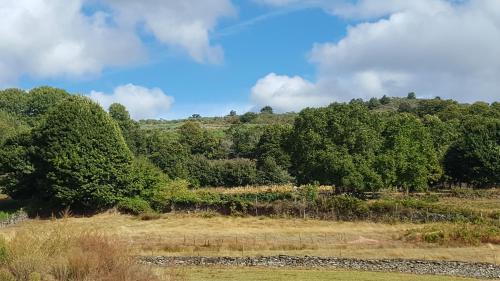 a field with trees and a blue sky with clouds at O Trancallo in Viana do Bolo