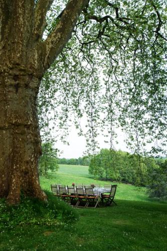 a picnic table under a tree in a field at Château d’Orion in Orion