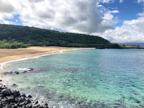 Imagen de la galería de Beach Side Studio by Shark's Cove, en Haleiwa