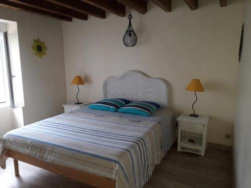 a bedroom with a large bed with blue pillows at Vendrennes Chez Florymarysol in Vendrennes