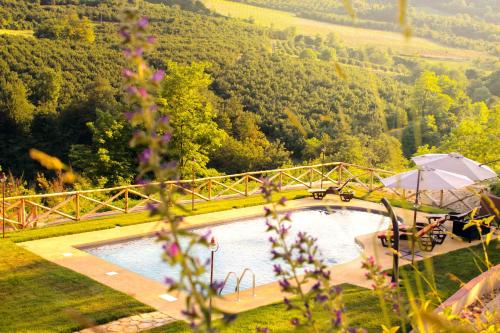 a bridge over a pool in a field with flowers at Le Stanze Della Musica in Borgomale