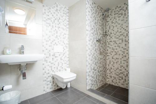a bathroom with a toilet and a sink and a shower at Hotel U koně in Beroun
